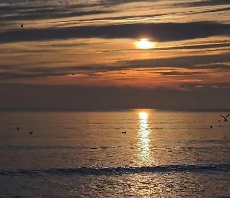 Massaranduba Apartman Năvodari